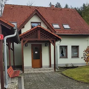 Gejzir 16 , Karlsbad Tschechische Republik